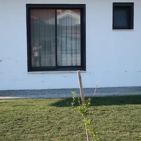Bed & Breakfast Lemon Garden
